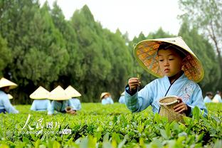 津媒谈津门虎现阶段困局：伤病情况严重，8轮不胜只有咬牙挺过